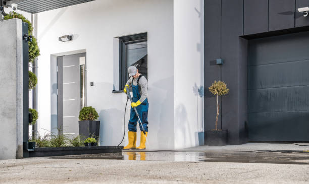 Best Roof Washing  in Middleport, NY